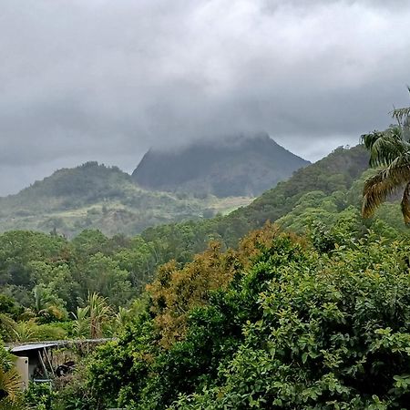 Horizon Des Pitons Appartement Salazie Buitenkant foto